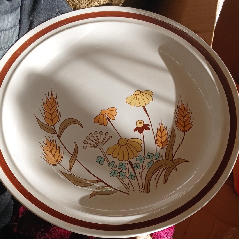 Floral Patterned Dinnerware Bowl 11 Inches Round